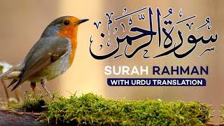 Surah Rahman With Urdu Translation | سورة الرحمن | Quran with Urdu and Hindi TranslationAl(AllQuran)