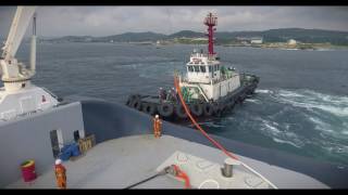 ALP STRIKER pushing the limits