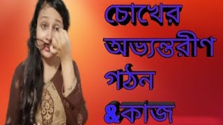 human eye anatomy structure and function/চোখের গঠন/কাজ