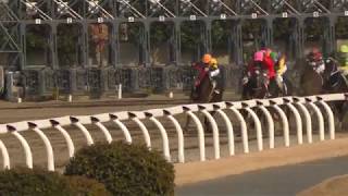 川崎競馬　8レース