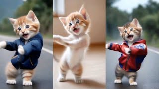 😻😮💃Cute Cat Viral Dancing Videos \