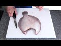 Guide to Quarter Cut Filleting - Brill