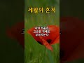 세월의 흔적 시 시한편 세월 명언 좋은글 오디오북 동기부여 교훈 철학 지혜