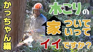 【密着！】木こりの家、ついていってイイですか？「かっちゃん編」｜自由を求めて世界40ヵ国を旅した木こりが語る、人生哲学【木こりの魅力】