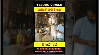 మెడికల్ షాప్ కి ఆవు ఓ ఆవు కథ #shorts #youtubeshorts #viralvideo #viral