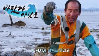 바닷가 사람들 - 갯벌이 품은 황금! 신안 낙지잡이_#001