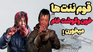 قوم عجیب ننت هاکه دردمای منفی 70درجه قطب شمال درچادرزندگی می کنند…!