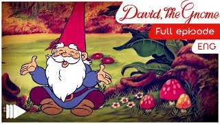 David the Gnome - 2 - The little witch | Full Episode |