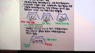 임상의를 위한 김일봉 초음파 해설(48)-2 초음파 소견(6) 맥관의 이상, 내부에코의 이상, 담관∙췌관∙요관∙장관의 확장, 액체저류