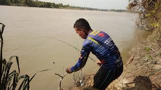 memancing ikan kerai mengunakan umpan dari resepi nenek moyang,35 ekor dlm masa 2 jam.