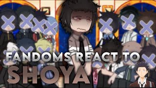 — Fandoms react to Shoya Ishida || (5/13) || Shoko x Shoya || 🪼