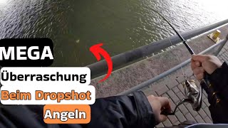 Mega Überraschung beim Dropshot angeln am Kanal [ Karpfen beißt auf Dropshot ]