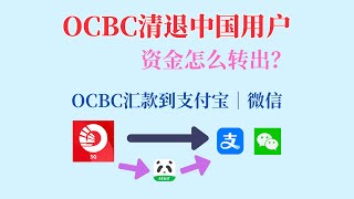 OCBC清退中国用户｜OCBC关户 ｜OCBC资金怎么回国 ｜ 免手续费实时汇款到支付宝、微信｜熊猫速汇新币回国