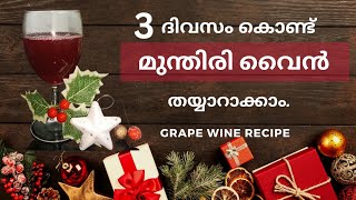 3 ദിവസം കൊണ്ട് മുന്തിരി വൈൻ തയ്യാറാക്കാം. | Grape wine recipe | മുന്തിരി വൈൻ🍇 ❄️🎁🎅🎄