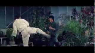 Bruce Lee "Le Jeu De La Mort 2" - Kim Tai Chung Vs Casanova Wong