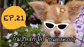 EP.21 My station สถานีของฉันจอดที่บางปู ..อาหารทะเลอร่อยเสริฟไวได้ใจ ที่ร้านครัวชิดลมบางปู