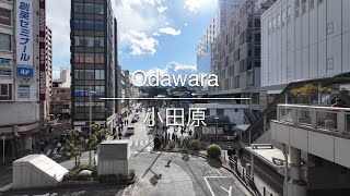 [4K] Odawara 小田原 [Kanagawa 神奈川] [Walk 散歩] #1258