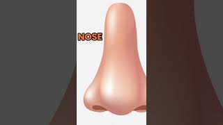 Body Part - NOSE | Educational Video for Kids | Nursery Class