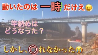 《へらぶな釣り to 市野川》アクシデント😵なんとか…？😮‍💨