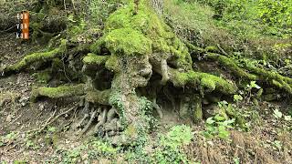 Prachtige wandeling Bad Bertrich Elfengrotte Elbesbach Entersburg Ussbach Klidinger Wasserfall 4K