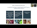 holistic approaches to combating amr lessons from clinical practice u0026 interdisciplinary strategies