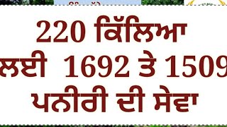 1692 and 1509 Paniri Deva 225 acres (225 ਕਿੱਲਿਆ ਲਈ 1509 ਤੇ 1692 ਦੀ ਪਨੀਰੀ ਸੇਵਾ ਲਈ ਤਿਆਰ ਜਲਦ ਕਰੋ)