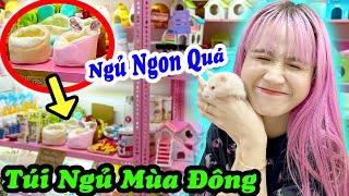 Mua Túi Mền Mới Cho Chuột Hamster - Vê Vê Channel