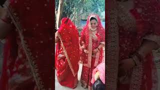 Hardi chumawan hota#shortvideo#song#happy #wedding #dance#ytshorts #shortvideo#viralvideo #trending