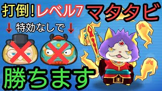 【妖怪ウォッチ ぷにぷに 実況】レベル7の閻魔猫王マタタビを攻略！特効キャラのジェントル面犬と吽形は無しで勝ちます！【Yo-kai Watch Wibble Wobble】