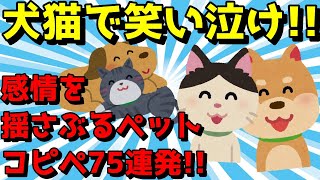 【2ch面白いスレ】ペットネタで泣き笑え！感情を揺さぶるコピペ75連発!【ゆっくり解説】