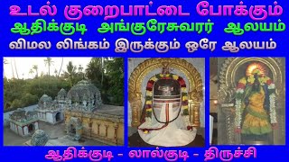 ஆதிக்குடி அங்குரேசுவரர் திருக்கோயில் /லால்குடி / திருச்சி / Adhikudi Anguneeswarar Temple in Lalgudi