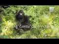 Introducing Corning® Gorilla® Glass Victus® 2