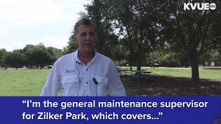 What it takes to keep Austin's Zilker Park looking fresh | KVUE