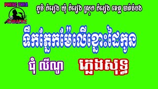 ទឹកភ្នែកម៉ែលើខ្នោះដៃកូន (ភ្លេងសុទ្ធ)ជុំ លីណូ Pheng Thea Karaoke