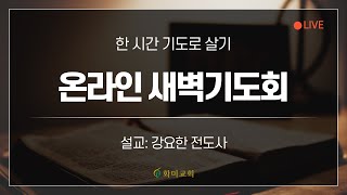 [화미교회] 21.12.09 | 눅 18:18-23 | 온라인 새벽기도 | 강요한 전도사