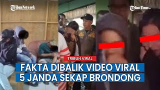 Fakta Sebenarnya Video Viral 5 Janda Sekap Seorang Pria Brondong
