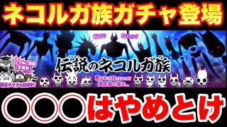 【実況にゃんこ大戦争】◯◯◯はやめとけ！伝説のネコルガ族ガチャを解説