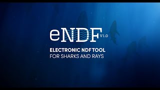 e-NDF software for CITES sharks and rays