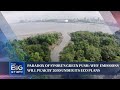 Paradox of S'pore's green push: Why emissions will peak by 2030 under its eco plans | THE BIG STORY