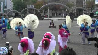 「飃～FREEDOM～」　四日市よさこい祭り　やったろ舞2015