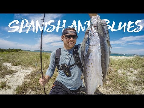 Surf fishing for Bluefish and Spanish Mackerel Surf fishing for Bluefish and Spanish Mackerel
