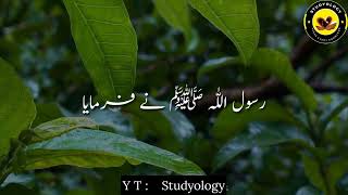 🌷Farman e Rasool (saw) In Urdu Status Whatsapp🌹🌹  💞💞Hadees Mubarak Status Video💕💕  ✨Urdu Studyology