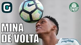 Fluminense x Palmeiras | Mina volta a treinar em campo - Gazeta Esportiva (22/09/17)