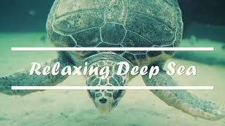 Deep Ocean: 10 min of Relaxing Oceanscapes