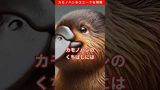 カモノハシのユニークな特徴 #雑学 #動物