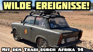 „Gefangen“ in Marrakech! Hinter den Kulissen der Touristen Abzocke | Mit dem Trabant nach Afrika 14