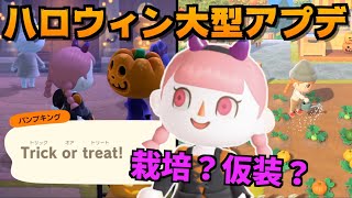 【あつ森】大型アプデ情報！ハロウィンイベントが可愛すぎて無理なんだけどwww【あつまれどうぶつの森】