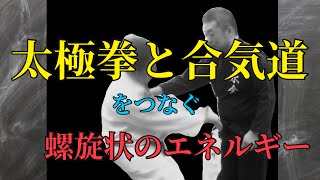 太極拳の螺旋状エネルギーは合気道にも通ずるということの検証