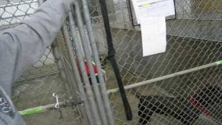 Quincy Animal Shelter sees more pets in recession