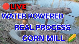 Water Powered Corn Pounder Mill Live Ep 13
